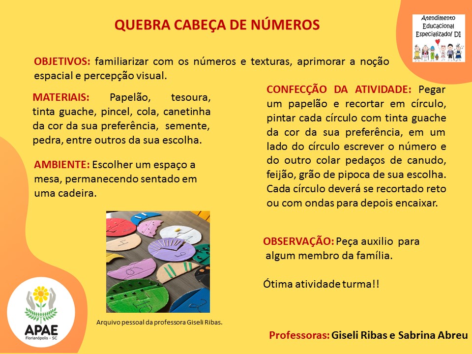 Atendimento Educacional Especializado - Quebra-Cabeça de Números