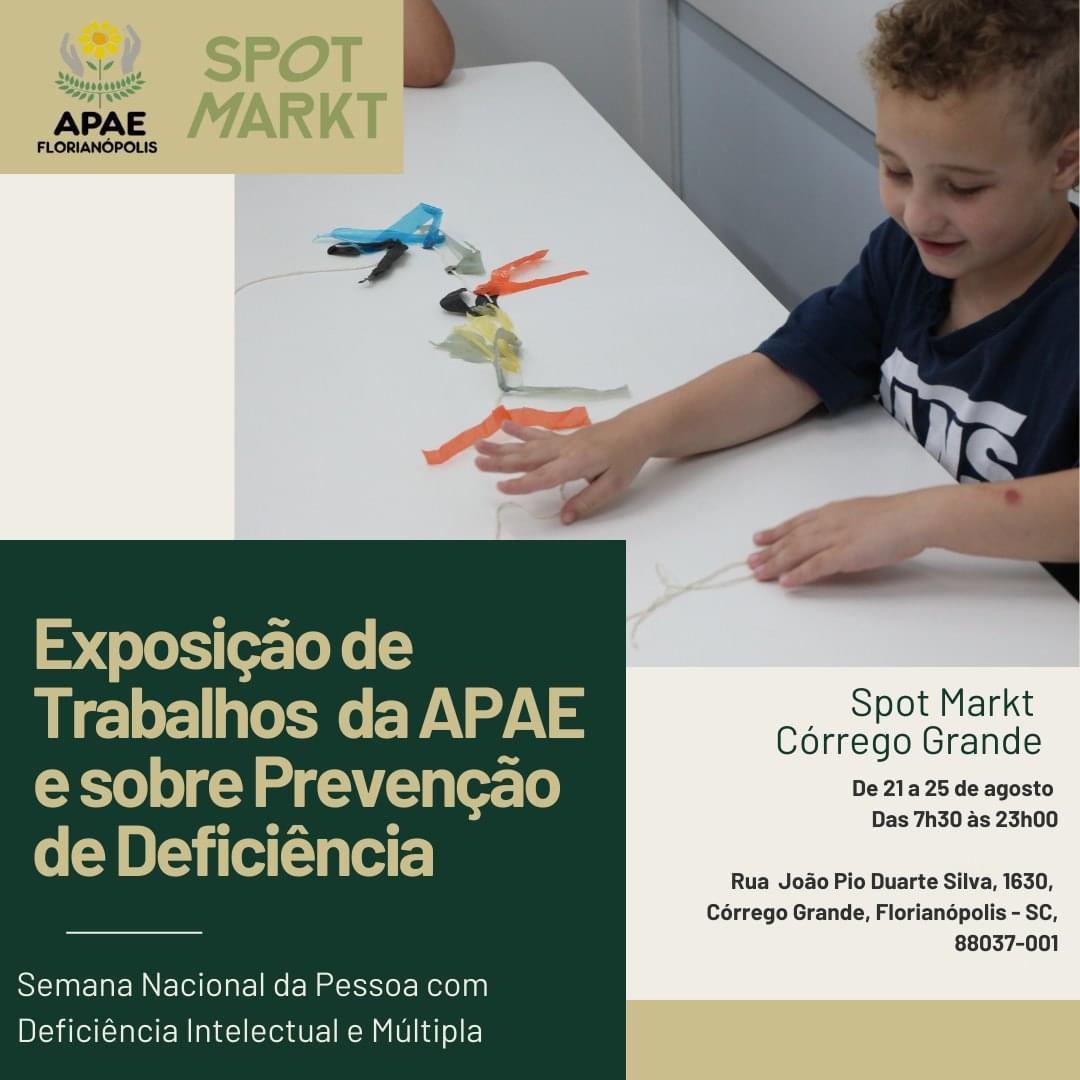 Trabalhos da APAE no Spot Markt