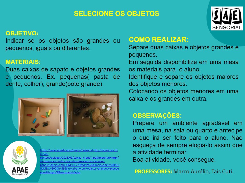 Selecione os Objetos - SAE Sensorial